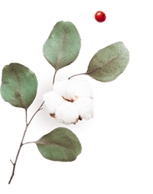 floating_image_06 https://ximena-f.click/wp-content/uploads/2020/10/floating_image_06.png