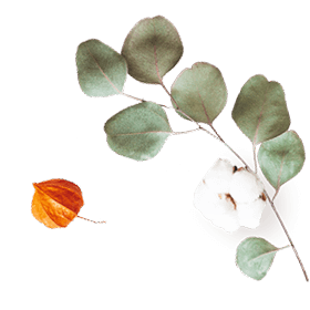floating_image_07 https://ximena-f.click/wp-content/uploads/2020/10/floating_image_07.png