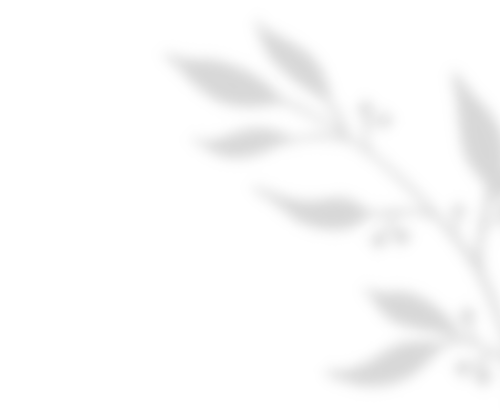 shadow_leaves_01 https://ximena-f.click/wp-content/uploads/2020/11/shadow_leaves_01.png