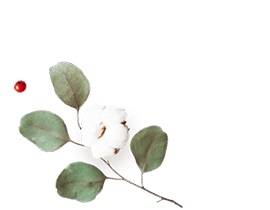 floating_image_flower_01 https://ximena-f.click/wp-content/uploads/2020/12/floating_image_flower_01.png