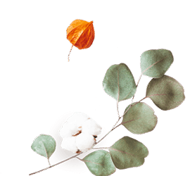 floating_image_flower_02 https://ximena-f.click/wp-content/uploads/2020/12/floating_image_flower_02.png
