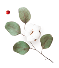 https://ximena-f.click/wp-content/uploads/2020/12/floating_image_flower_03.png