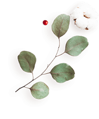 https://ximena-f.click/wp-content/uploads/2020/12/floating_image_flower_04.png